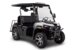 Мотовездеход AODES UTV 300-10 Golf, Белый