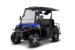 Мотовездеход AODES UTV 300-10 Golf, Синий