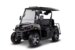 Мотовездеход AODES UTV 300-10 Golf, Серый