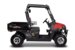 Мотовездеход AODES UTV 170-10 Golf, Красный