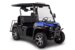 Мотовездеход AODES UTV 300-10 Golf, Синий